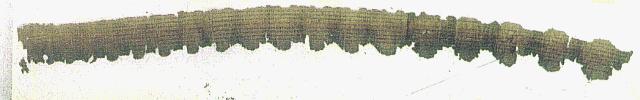 The Leviticus Scroll