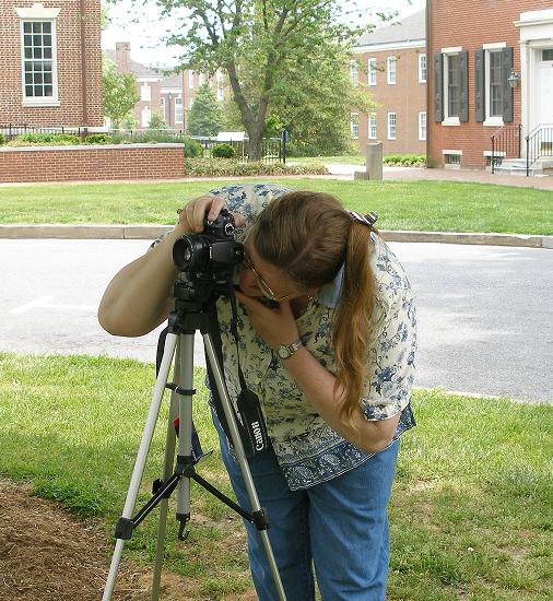 Ms T at work.